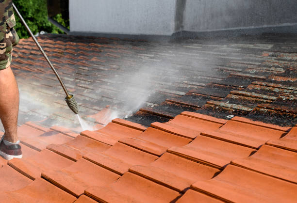 Best Exterior Home Cleaning  in Westgate, FL